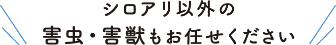 シロアリ以外の害虫・害獣もお任せください
