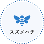 スズメバチ