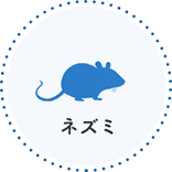ネズミ