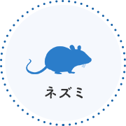 ネズミ
