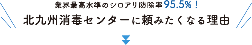 業界最高水準のシロアリ防除率95.5%! 北九州消毒センターに頼みたくなる理由