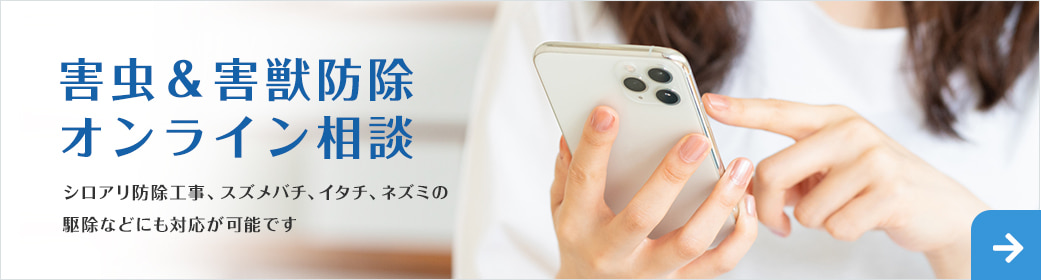 害虫＆害獣防除オンライン相談 シロアリ防除工事、スズメバチ、イタチ、ネズミの駆除などにも対応が可能です