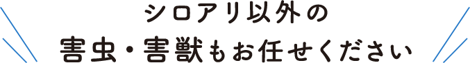 シロアリ以外の害虫・害獣もお任せください