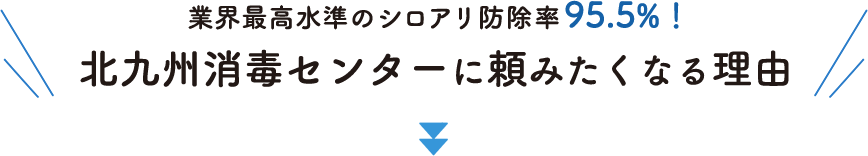 業界最高水準のシロアリ防除率95.5%！北九州消毒センターに頼みたくなる理由